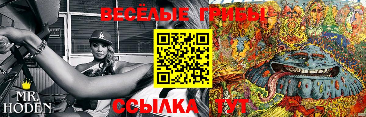 Галлюциногенные грибы ЛСД  Вход с VPN  Старая Купавна 
